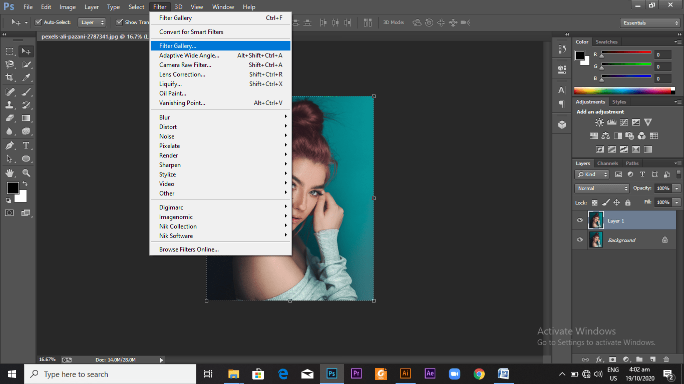 Selecting the option of "Filter gallery" from the "filter" options