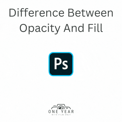 photoshop difference between opacity and fill featured image
