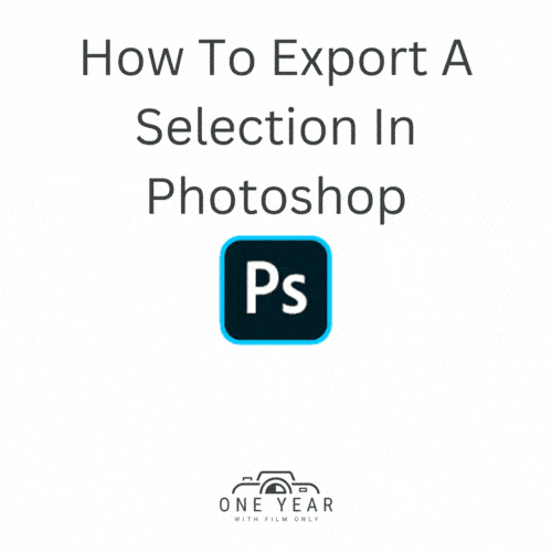 how to export a selection in photoshop featured image