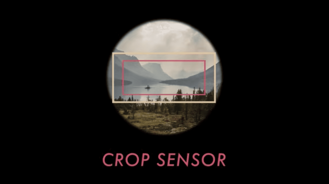 crop-sensor-example