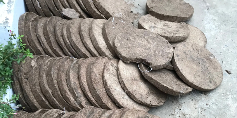 Bánh dầu là gì và vì sao cây cần loại phân này?