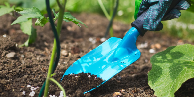 Bật mí thời điểm bón đạm phù hợp cho cây