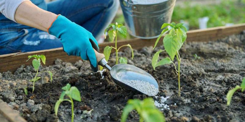 Các loại phân bón thường dùng cho cây ăn quả