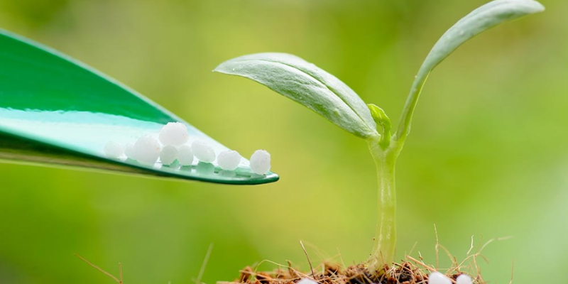 Các loại phân lân thường dùng để bón cho cây