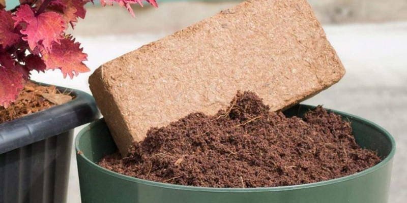 Cách xử lý xơ dừa trước khi bón xơ dừa cho cây