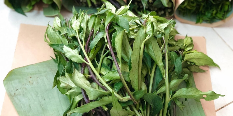 Khái quát về rau lủi rừng