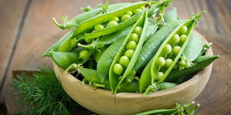 Phòng trừ sâu bệnh cho rau đậu hà lan hiệu quả