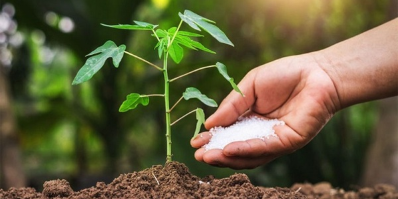 Thời điểm thích hợp để bón vôi cho cây