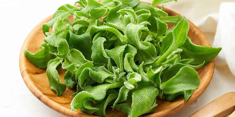 Thu hoạch và bảo quản rau bông tuyết