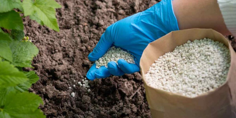 Tìm hiểu về phân bón NPK và cách bón npk cho cây