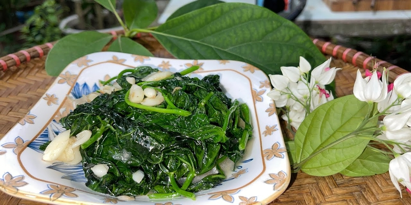 Tổng quan về rau bina chaya