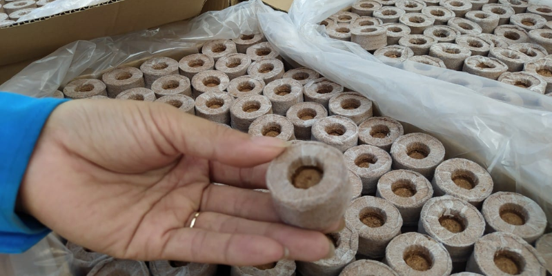 Ưu nhược điểm của phương pháp trồng rau bằng viên nén xơ dừa