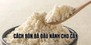 cách bón bã đậu nành cho cây
